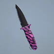 STRIPED GRAZER - Rewarded for Rank 7 with Dagger
