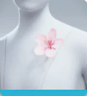 level 36 LAPEL BLOOM