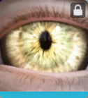 Level 79 PROWLER LENSES