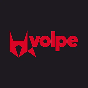 THE-FINALS volpe-logo.png