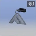 level 5 PROOF OF ENTRY