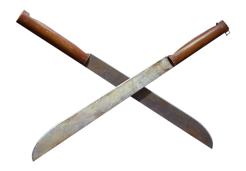 File:Dual-Blades JUNGLE JUSTICE.png