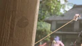 Thumbnail for version as of 22:22, 2 April 2025