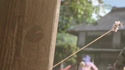 Frank the Pug in the Season 3 trailer
