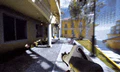 Thumbnail for version as of 22:18, 2 April 2025