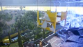Thumbnail for version as of 22:21, 2 April 2025