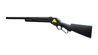 STANDARD ISSUE