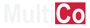 THE-FINALS MultiCo-Logo close.png