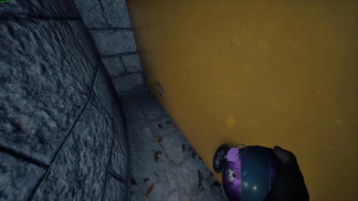 The second 3HM
