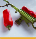 Level 24 CALOR COMBUSTION