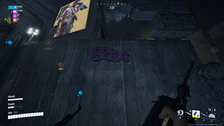825c spray