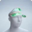 HOUSE-EDGE VISOR
