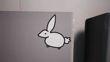 White rabbit close up