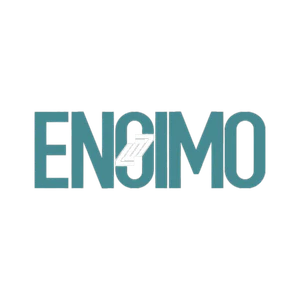 THE-FINALS ENGIMO-Logo.png