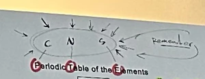 CNS pt.png