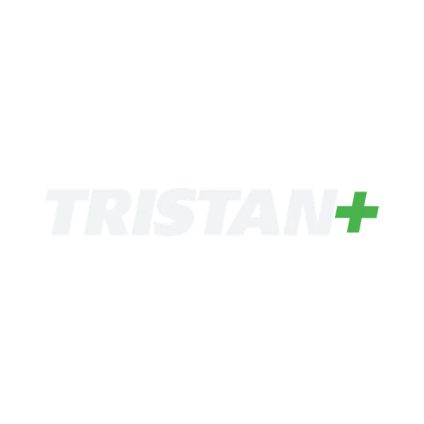 File:THE-FINALS trsitan-logo.png