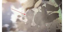 An inflatable flamingo (arrowed) amongst building debris that has been hit by a wrecking ball from THE FINALS Gamescom teaser.