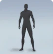 BODY TYPE 2