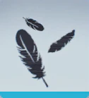 level 89 RUFFLED FEATHERS