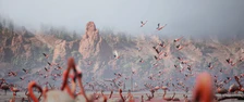 Flamingos seen in the ARC Raiders game trailer.