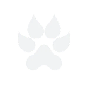 The-Overdogs Team-Logo.png