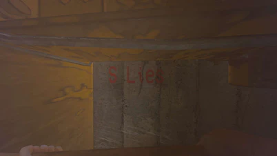 S Lies message