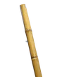 NATURAL OFFSHOOT - 850 (Bundle)