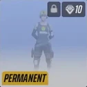 level 30 CB2 STEALTH PERMANENT