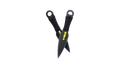 Thumbnail for version as of 22:20, 2 April 2025