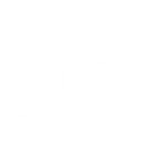 DXZ Sunglasses