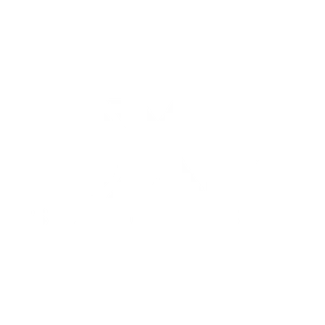 DXZ Sunglasses Logo.png
